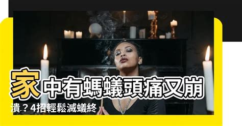 家中有螞蟻如何處理|窗邊、廚房...家裡突然冒出一大堆螞蟻怎麼辦？消滅螞。